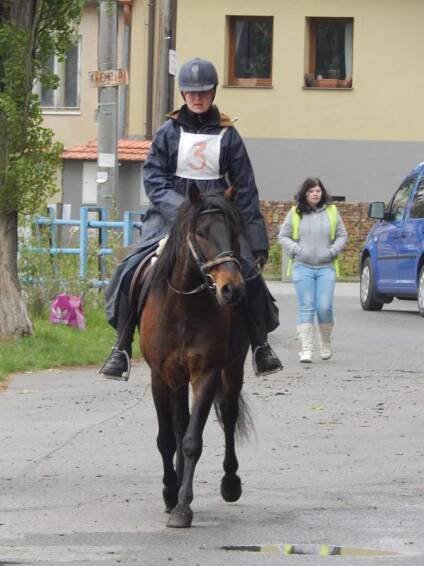 FARMA HUCUL | hucul.cz