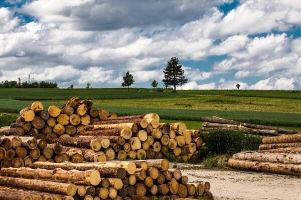 Jak na správné skladování palivového dřeva - Palivové dřevo a topivo
