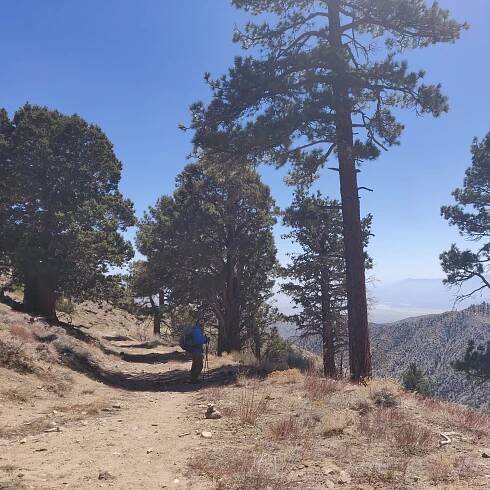 What Heaven Looks Like (PCT Day 21) | The Lanman Adventure Blog