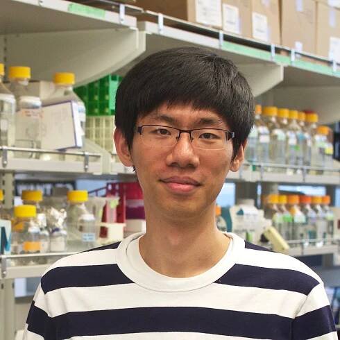 Hitting ‘undruggable’ disease targets – Institute for Protein Design