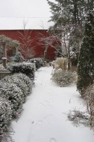 juniper-hill-winter-garden-red-barn-joseph-valentine-15