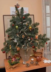 Vánoce už jsou i v našich domech s pečovatelskou službou | Praha 1
