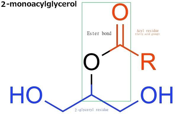 Soubor:Monoacylglyceryl2.jpg
