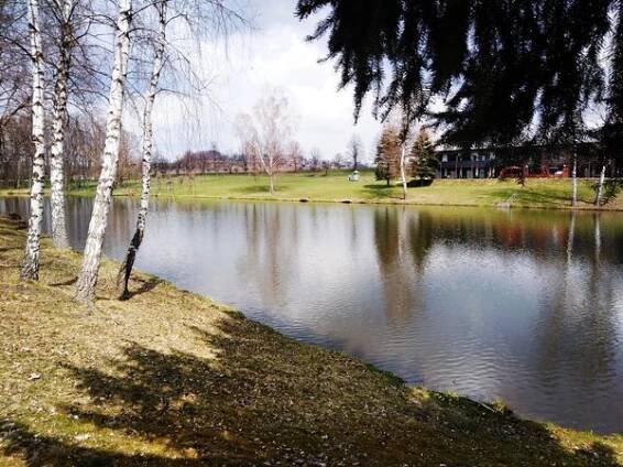 Koupaliště Kamenice nad Lipou foto 2