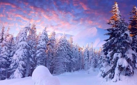 Tapeta na monitor | Zima | příroda, zima, sníh, hory, les
