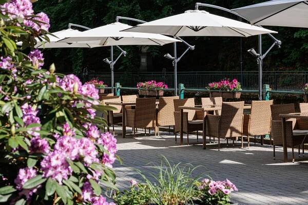 Jaro na talíři v restauraci Le Marché Karlovy Vary - Le Marché