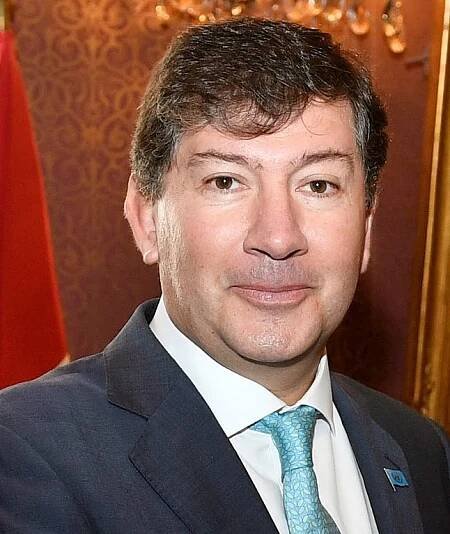Igor Garafulic - Wikipedia
