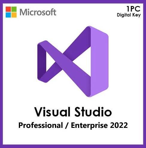 Visual Studio 2022 Professional/Enterprise