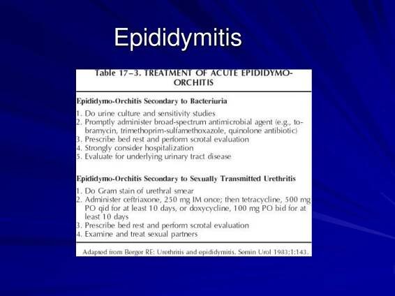 PPT - Urologic Disorders PowerPoint Presentation, free download - ID:334606