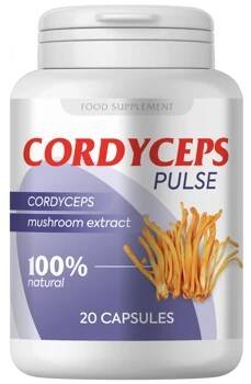 Cordyceps Pulse