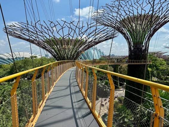 Singapur: co vidět v ostrovním státě 4