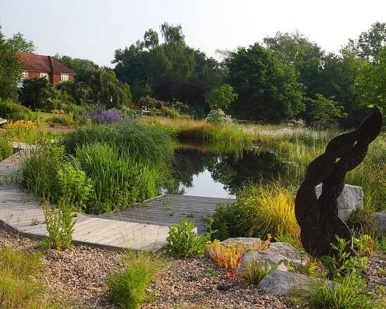 natural swimming pool surrounded by planting and wooden deck path in a country garden