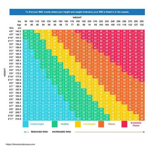 Body Mass Index Chart