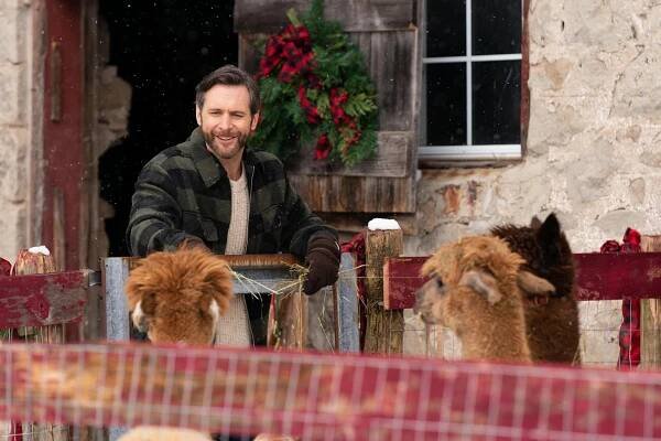 Matt Wells - Christmas on the Alpaca Farm - Z filmu