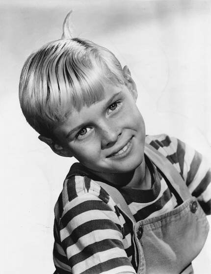 Jay North (1951-2025) - Find a Grave Memorial