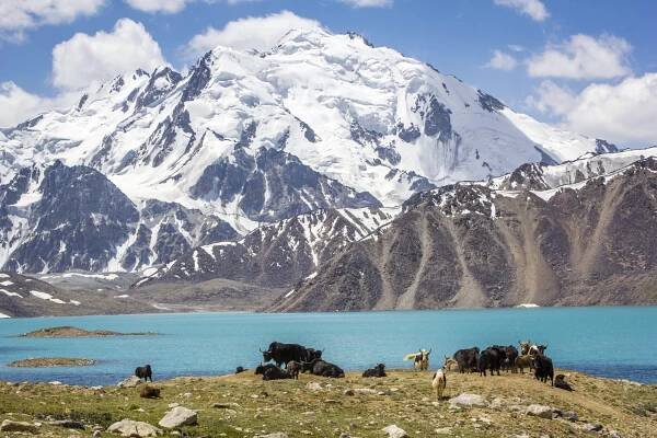 Pamir Jezero a zasnezena hora