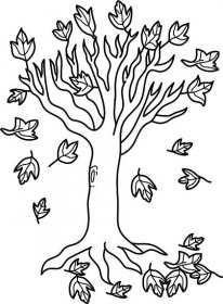 Základní Strom Na Podzim
