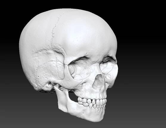 Art of Joseph Alexander Wraith - Child Skull