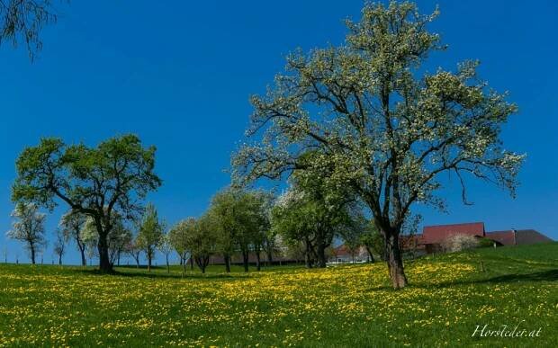 Wandern zur Elisabethwarte… | Horst Eder