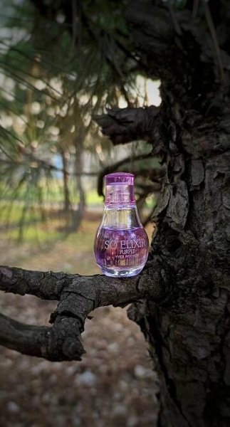 So Elixir Purple Eau de Parfum Yves Rocher pro ženy