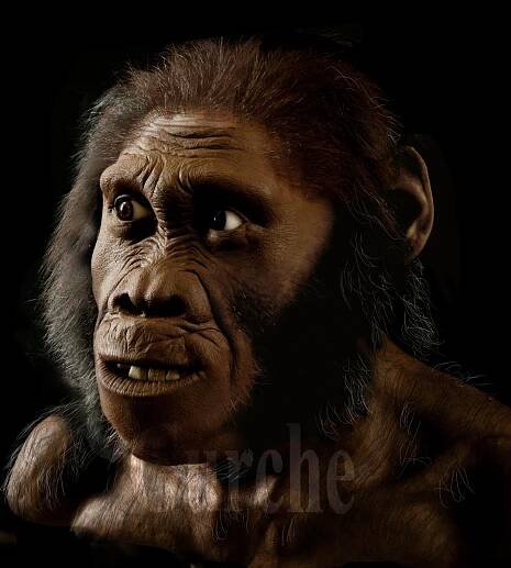 MH 1 alternate head reconstruction b Image