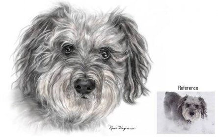 Dog Portrait Painter | Nomi Wagner, Portrait Artist