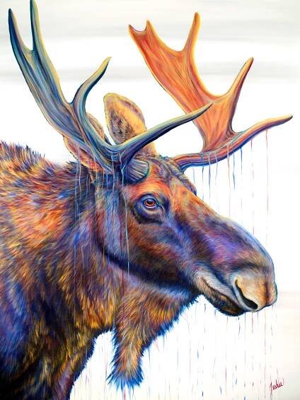 Grand Prismatic Moose