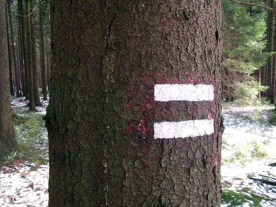 Pro houbaře a milovníky lesů: Co znamenají značky na stromech?