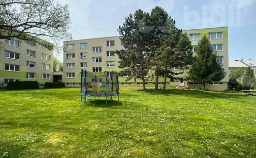 Byt 2+1, 47 m2, se zahradou - Olomouc-Nové Sady