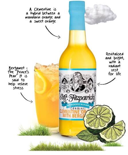 Low Calorie No Added Sugar - Mr Fitzpatrick's Vintage Cordial