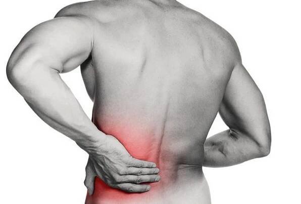 The causes of acute low back pain