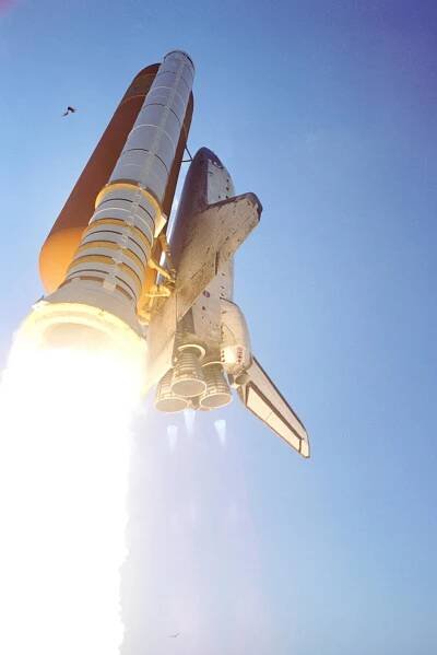 Discovery hits bird on STS-114 (July. 2005)