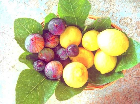 zitronen feigen figs lemon.jpg