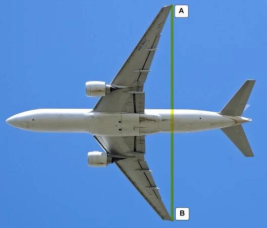 Wingspan