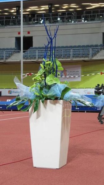 Praha Indoor 2014 | Klia.cz
