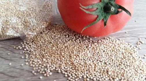 Quinoa – co to je, jak ji připravit, jak dlouho se vaří + recepty ...