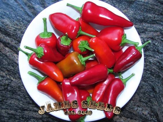 Fresno Chile Seeds (Medium to Hot) - Image 2
