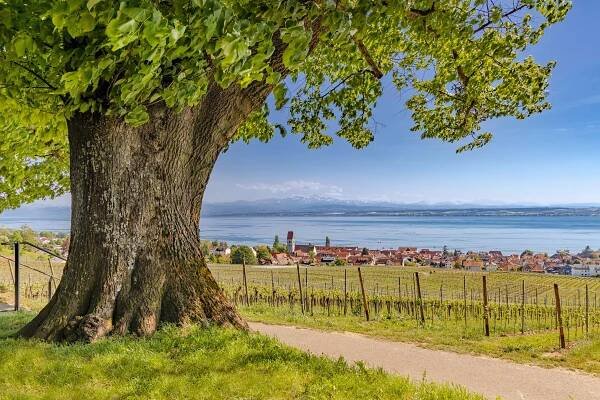 Unsere Stories - Hotel Maier