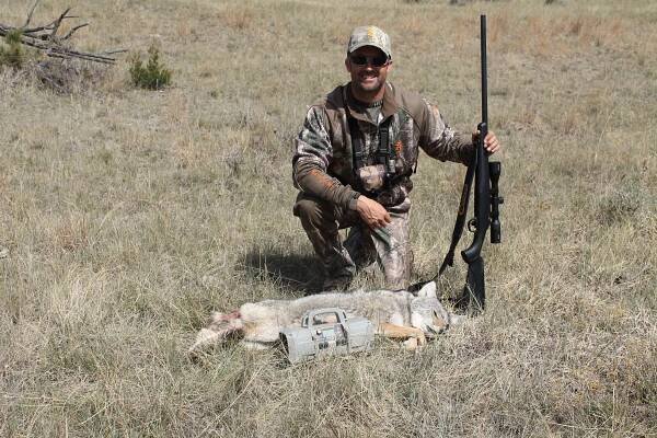 coyote hunting | Pure Hunting