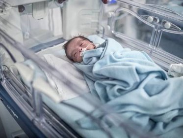 Neonatal Care - Neonatal Care