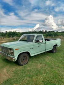 1980 Ford F 150 for sale