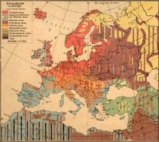 Mapy + základní rasové typy bílého plemene (kavkazoidní): Blízký východ