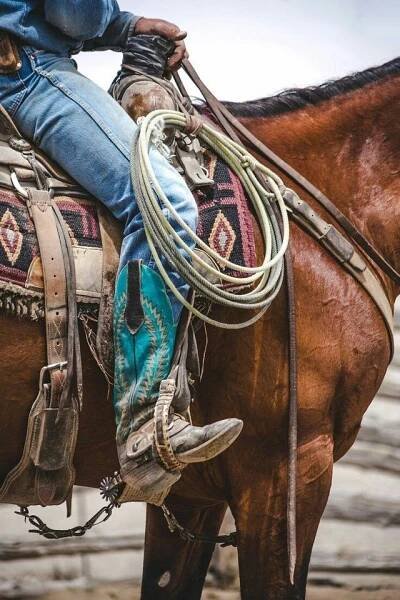 a cowboy sitting on top of a brown horse wearing blue jeans and holding a rope