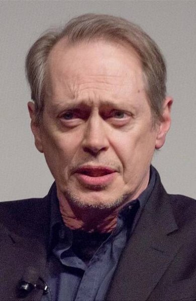 Súbor:Steve Buscemi crop.jpg – Wikipédia