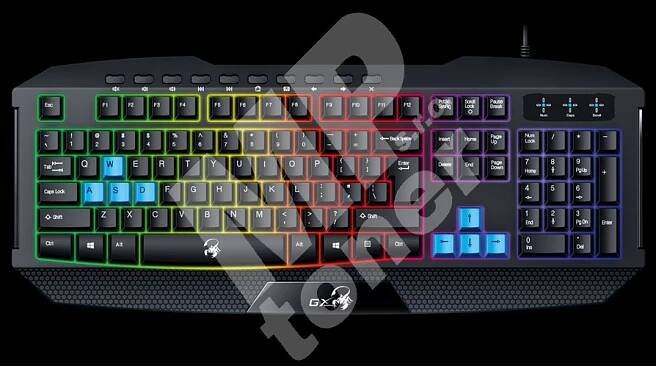 Genius klávesnice K215, USB CZ+SK, černá podsvícená 2 (2)