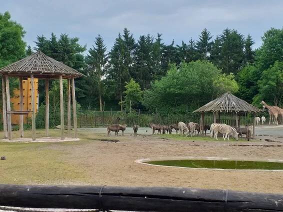 Přírodovědná expedice 5.A v rámci projektu ZOO | Základní škola Komenského, Trutnov
