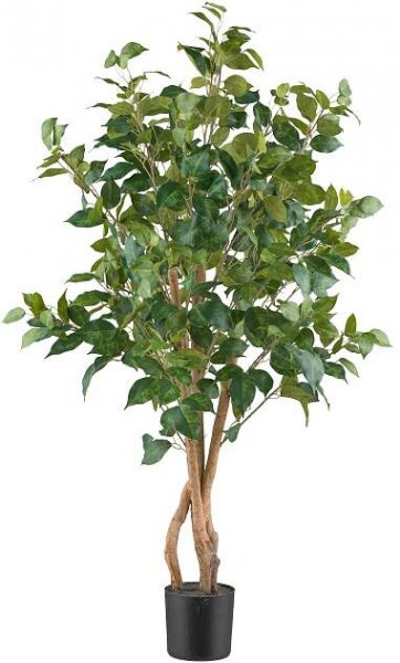 Kunstpflanze Ficus Benjamina II Grün/Braun - Schwarz/Braun, KONVENTIONELL, Kunststoff (11,5/110cm) - Mömax