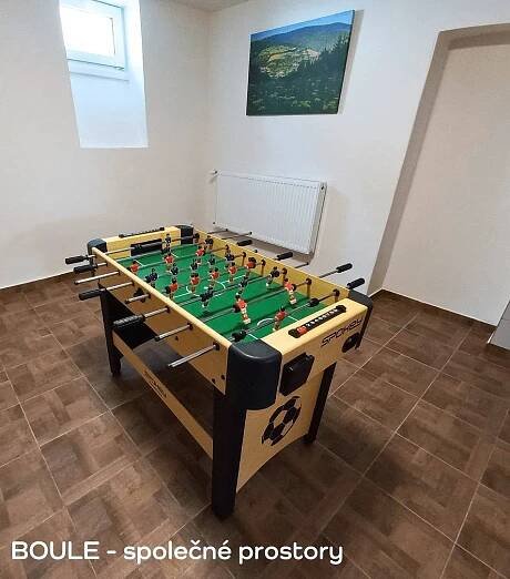 Apartmánový dům Boule, pronájem rekreačního domu Kovářská - ubytování Krušné hory, 10424