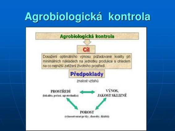 PPT - Zemědělská produkce 4. PowerPoint Presentation, free download - ID:4131844