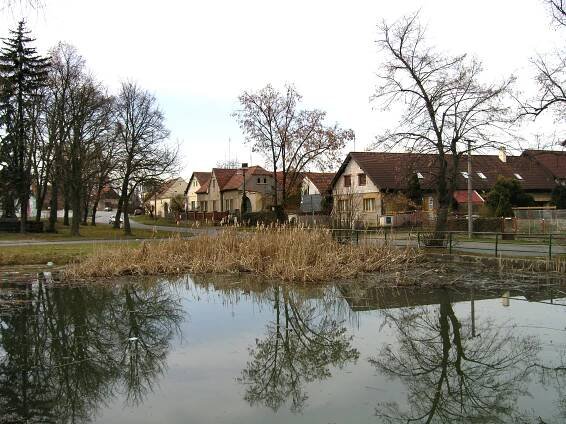 Soubor:Zruč-Senec, common pond.jpg – Wikipedie